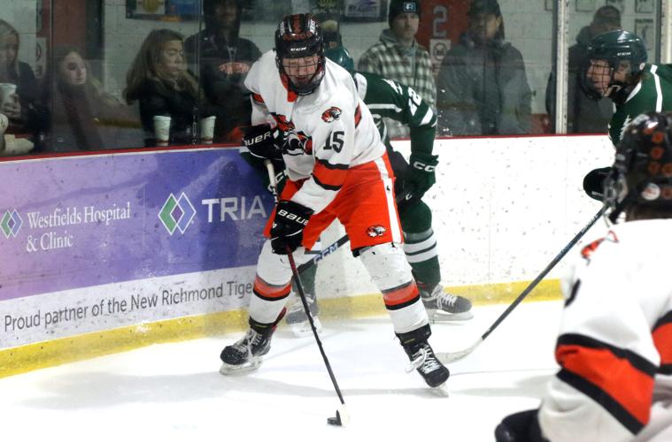 Boys hockey: Tigers topple Evergreens to advance (9 photos ...