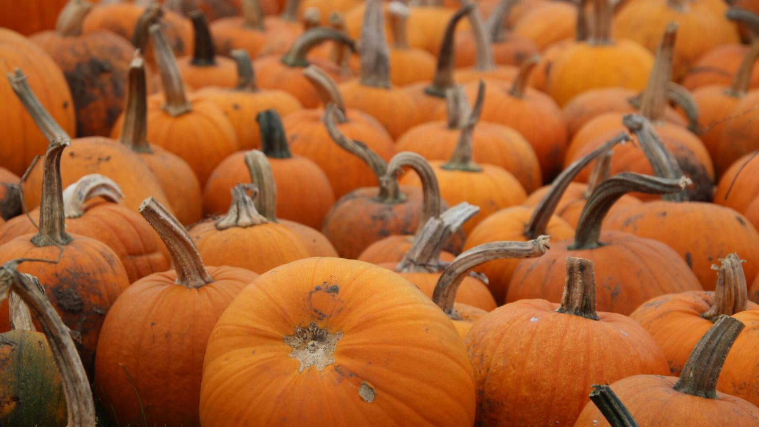 Business Hudsonstarobserver business-hudsonstarobserver