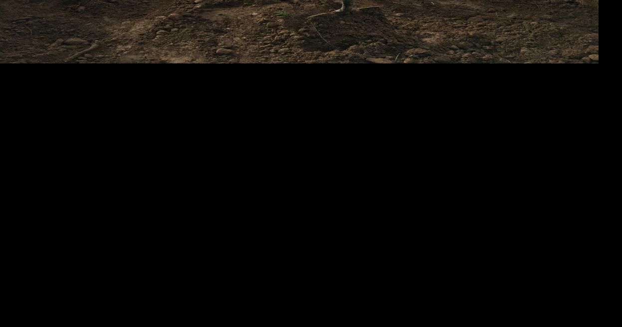 Somerset: New trustee brings legal background, civic experience to board amid leadership changes