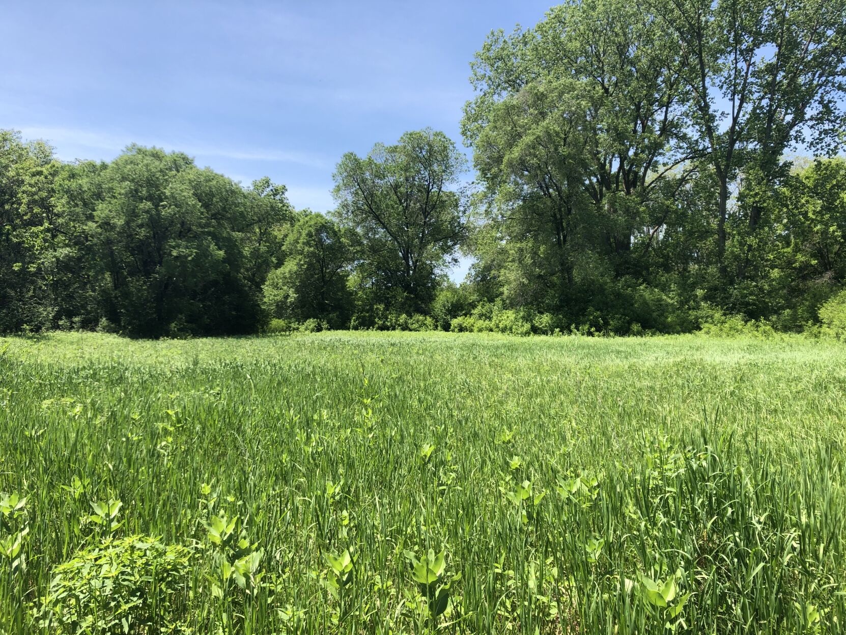 3 things to do this weekend: food, trails and more - Vimarsana News