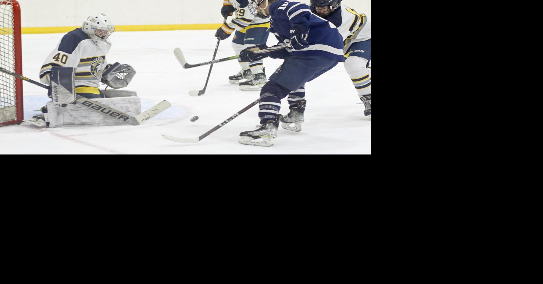 Boys Hockey: Hudson powers past River Falls (13 photos) | Newsletter ...