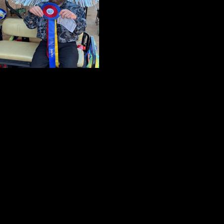 Somerset rider wins high honors at Western Dressage championship ...