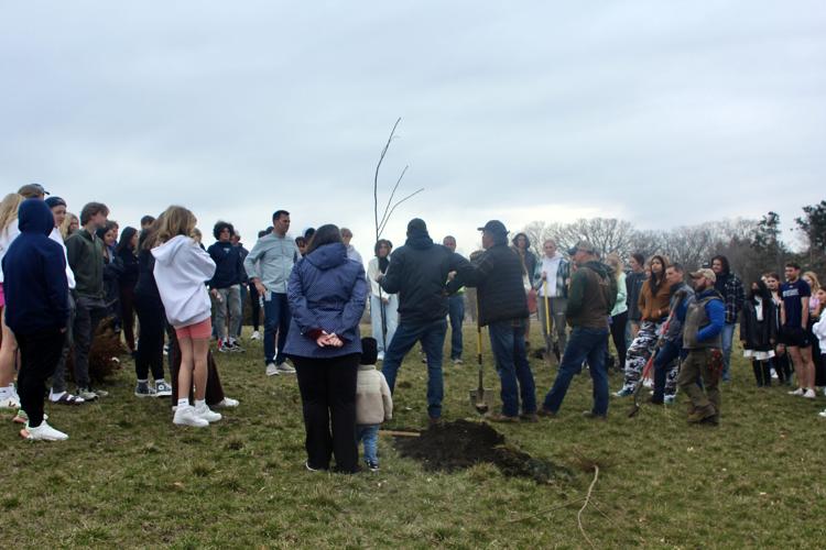 High schoolers learn about tree planting