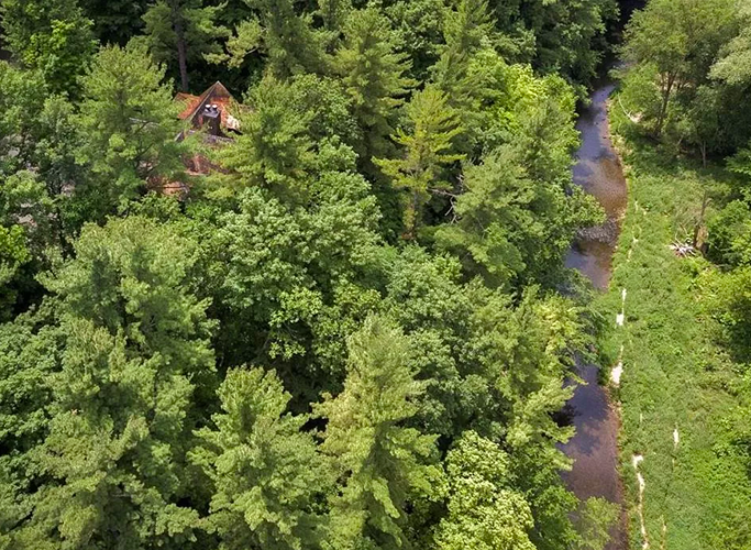 Cedar Shake house nestled in Pierce County trees for sale