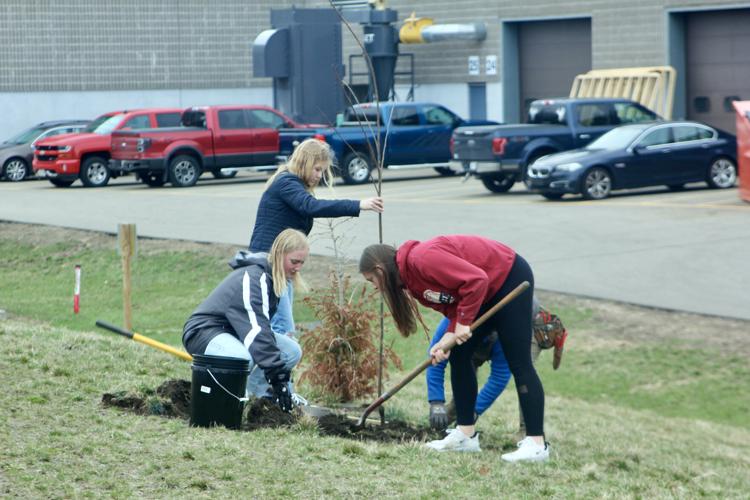 6 new trees at the high school