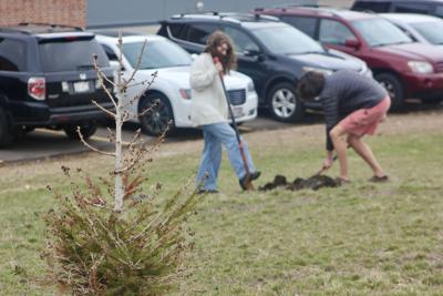 Arbor Day at high school