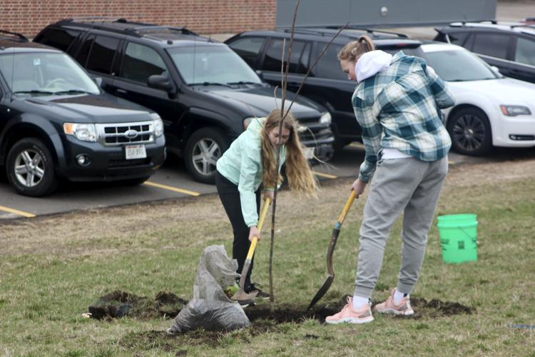 Dig wider not deeper