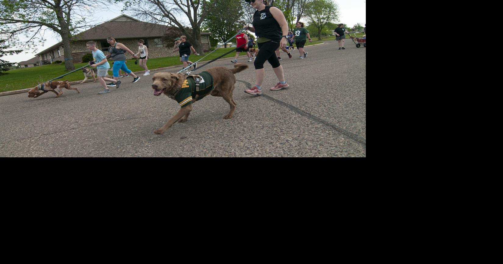 New Richmond’s K-9 unit fun run has plenty of dogs, fun | Local News ...