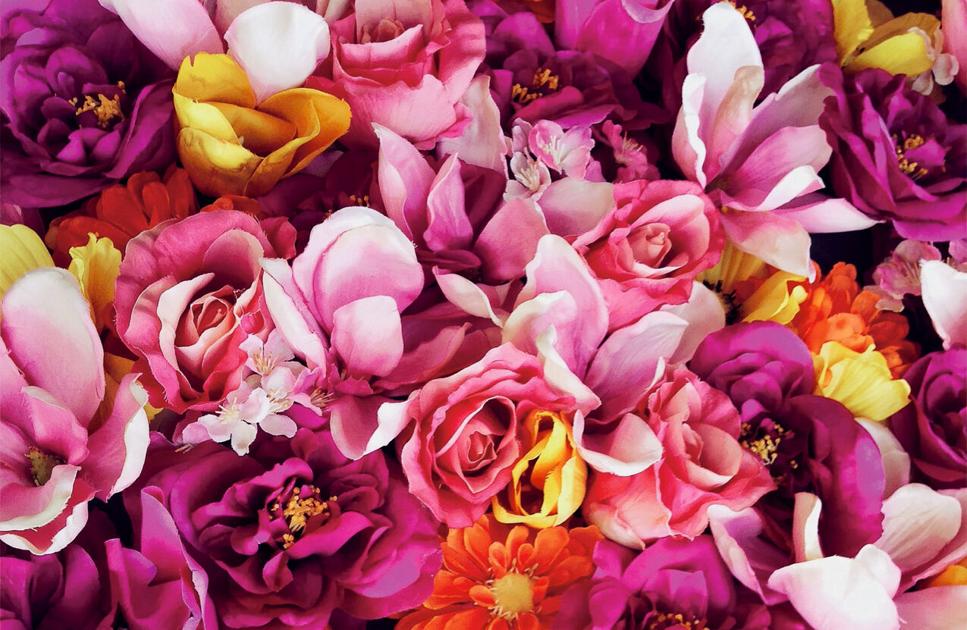 Points to know for this week … gardens, faculties, bacon and extra | News