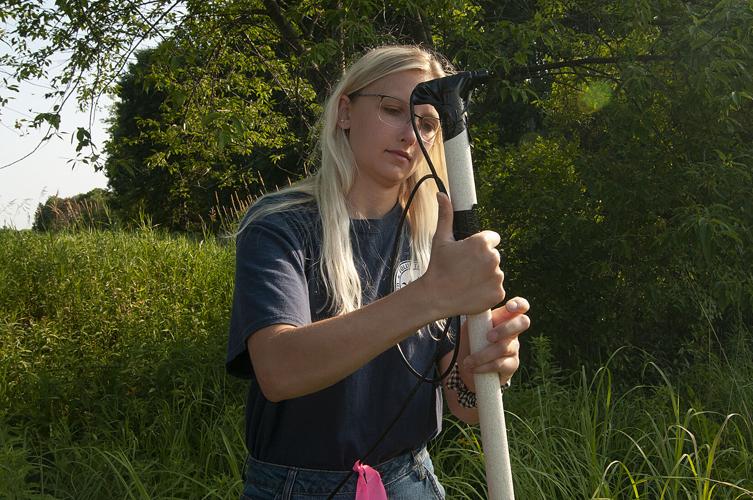 The great bat mystery: listening to bats may be the key | Online ...
