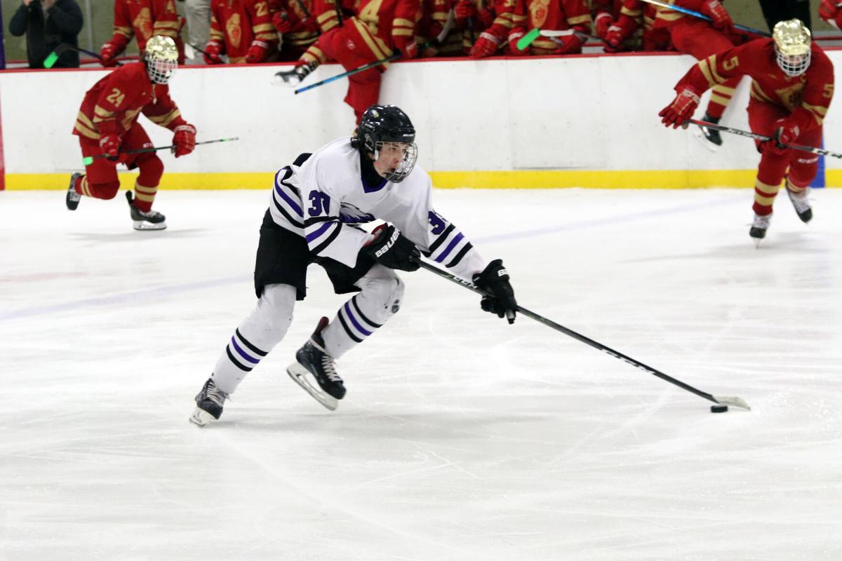 RedWingBoysHockey_CaseyLarson-1.jpg