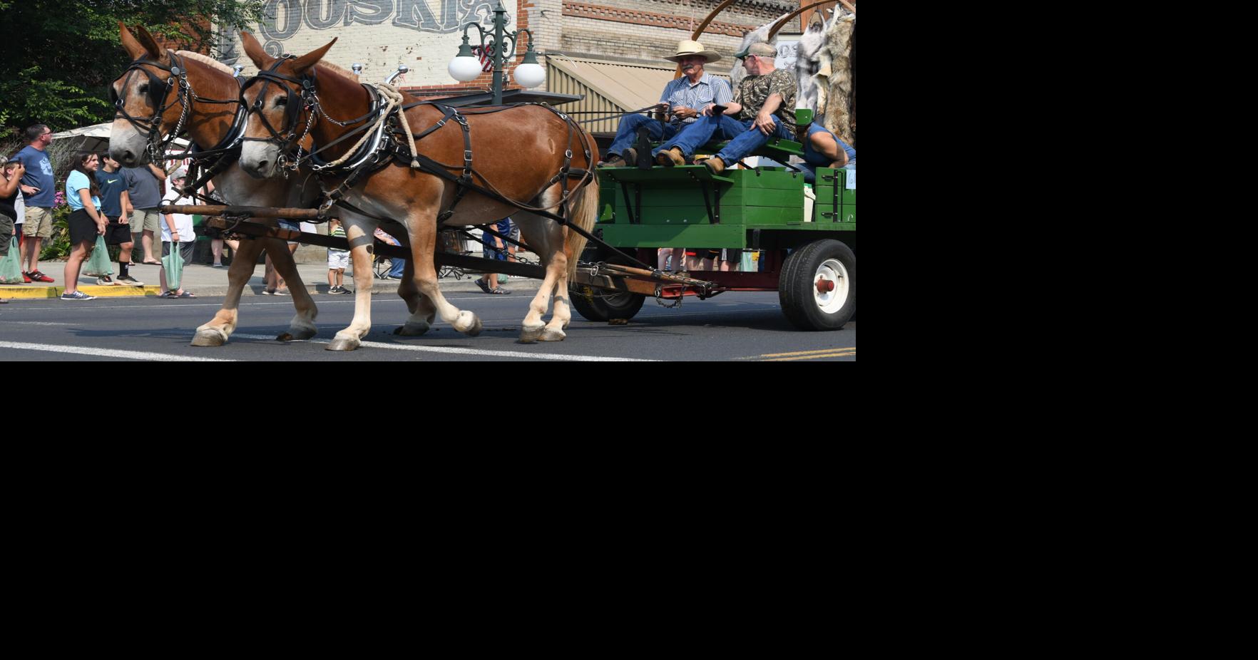 68th Annual Kooskia Days set for this weekend News