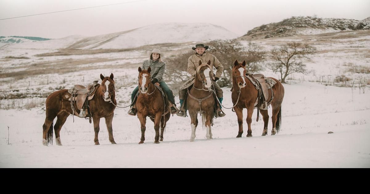 Get Acquainted Spotlight McNamee Colt Co. Getacquainted