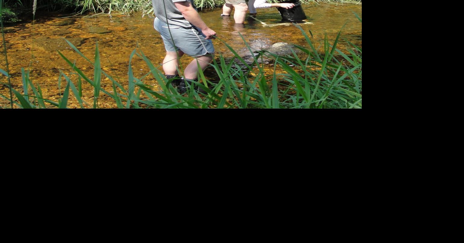 Elk City News: Trip makes for increased mussel knowledge By Jamie Edmondson / Idaho County Free Press Aug 5, 2026 32 mins ago