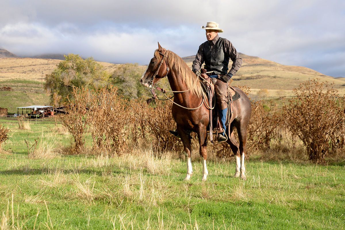 Tim McNamee: Riding Home On A Loose Rein | Farm-and-ranch ...