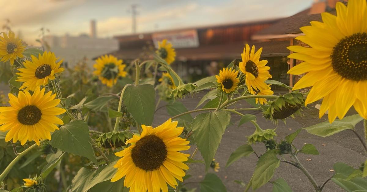 It's Your Business: Chamber membership meeting set for Nov. 12