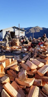 White Bird News: Firewood sales to help with expenses