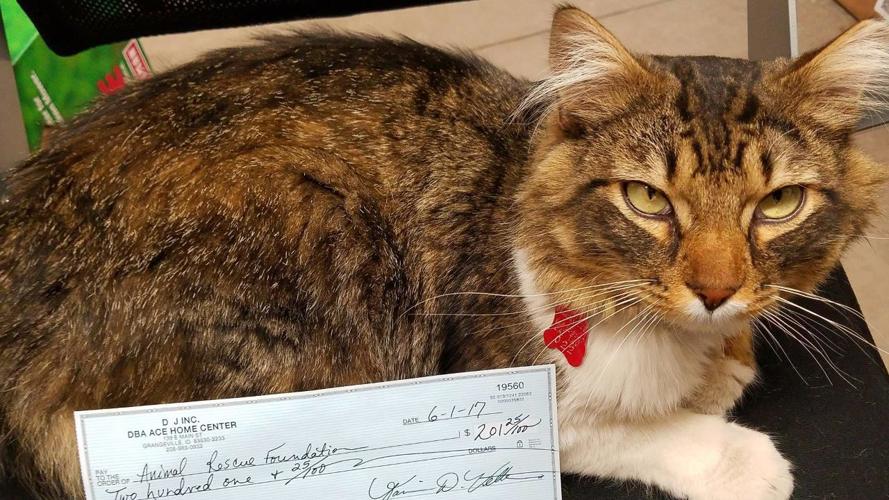 It's Your Business Kooskia splash pad to open June 24; Ferdinand