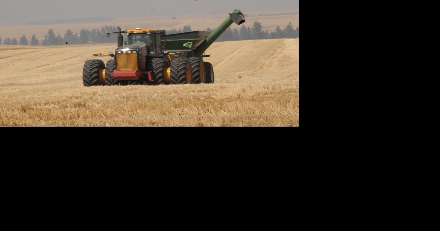 Hot Days, Harvest Time