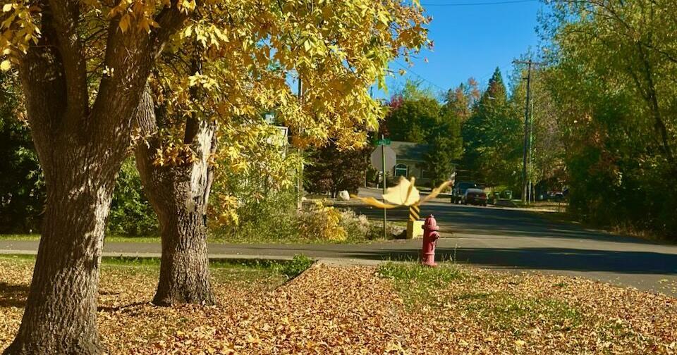 Fall colors brighten area’s autumn landscape | Community ...