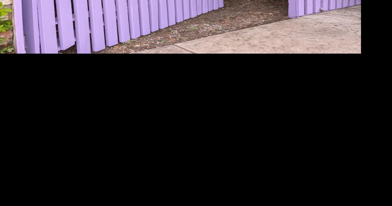 Lavender fence in Kamiah photo