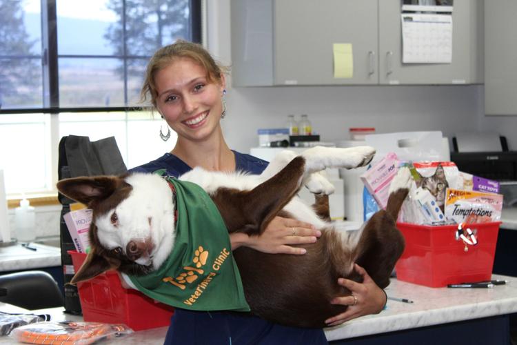 Tolo Veterinary Clinic hosts open house Community