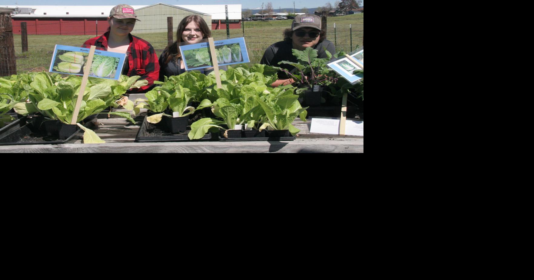 It's Your Business Sign up for Lego robotics camp; Kooskia Farmers