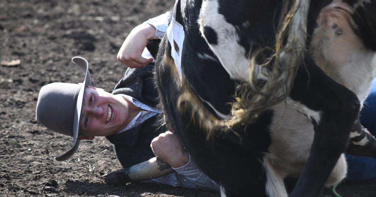 ‘Western heritage’ showcased at eighth annual ranch rodeo | News ...