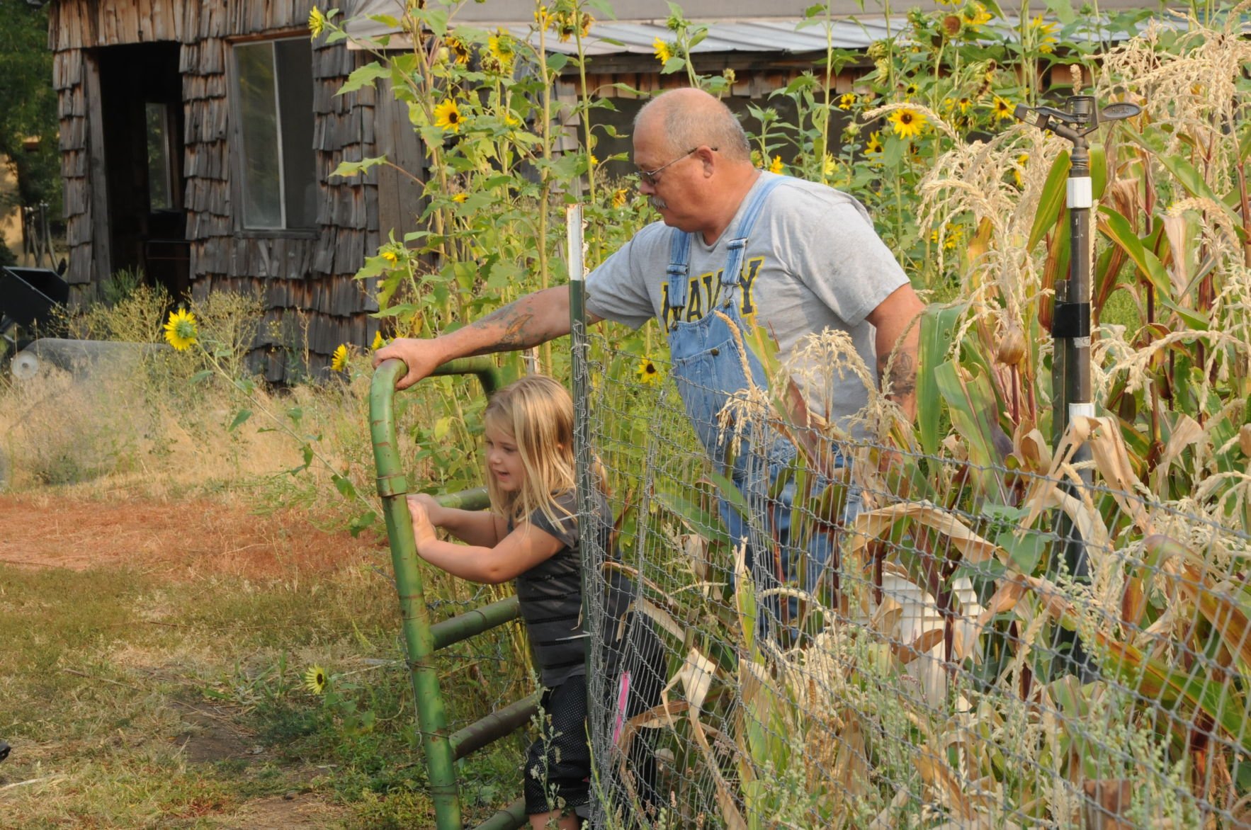 Fiscus Farms | Farm-and-ranch | Idahocountyfreepress.com