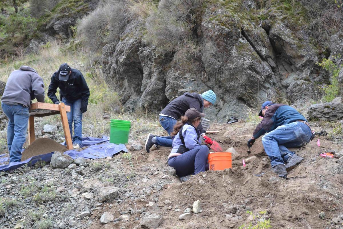 Human remains found last month undergoing testing News