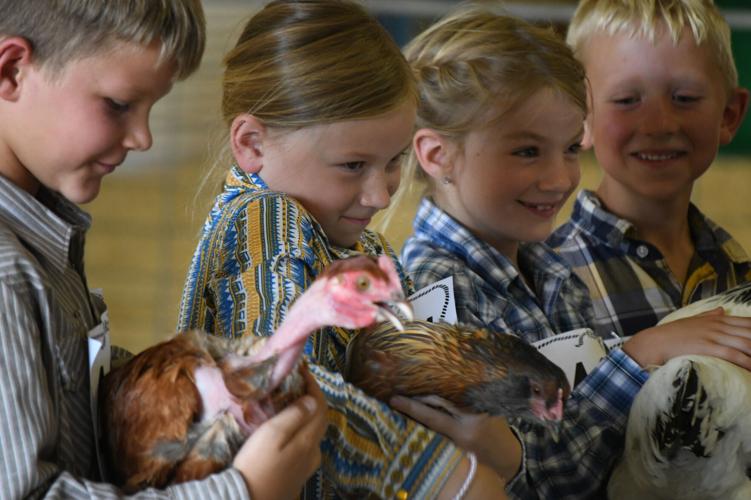 Idaho County Fair Results 2023 News
