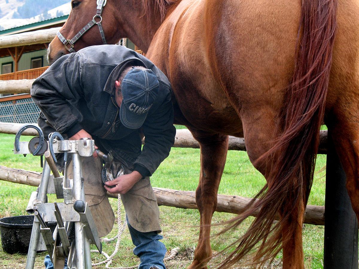 Four Feet At A Time Kooskia Horseshoer Learns From His Experiences News Idahocountyfreepress Com