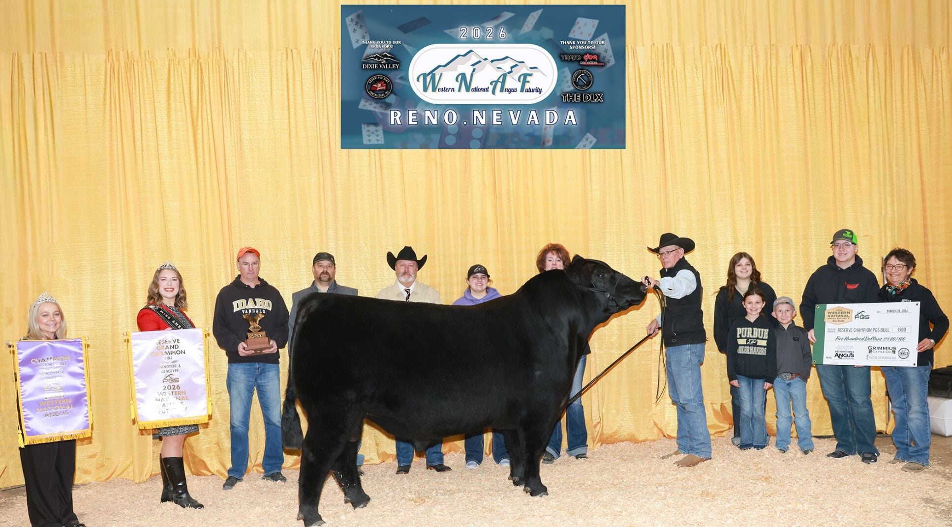 Reserve Grand Champion Bull At Reno Show | Agriculture ...