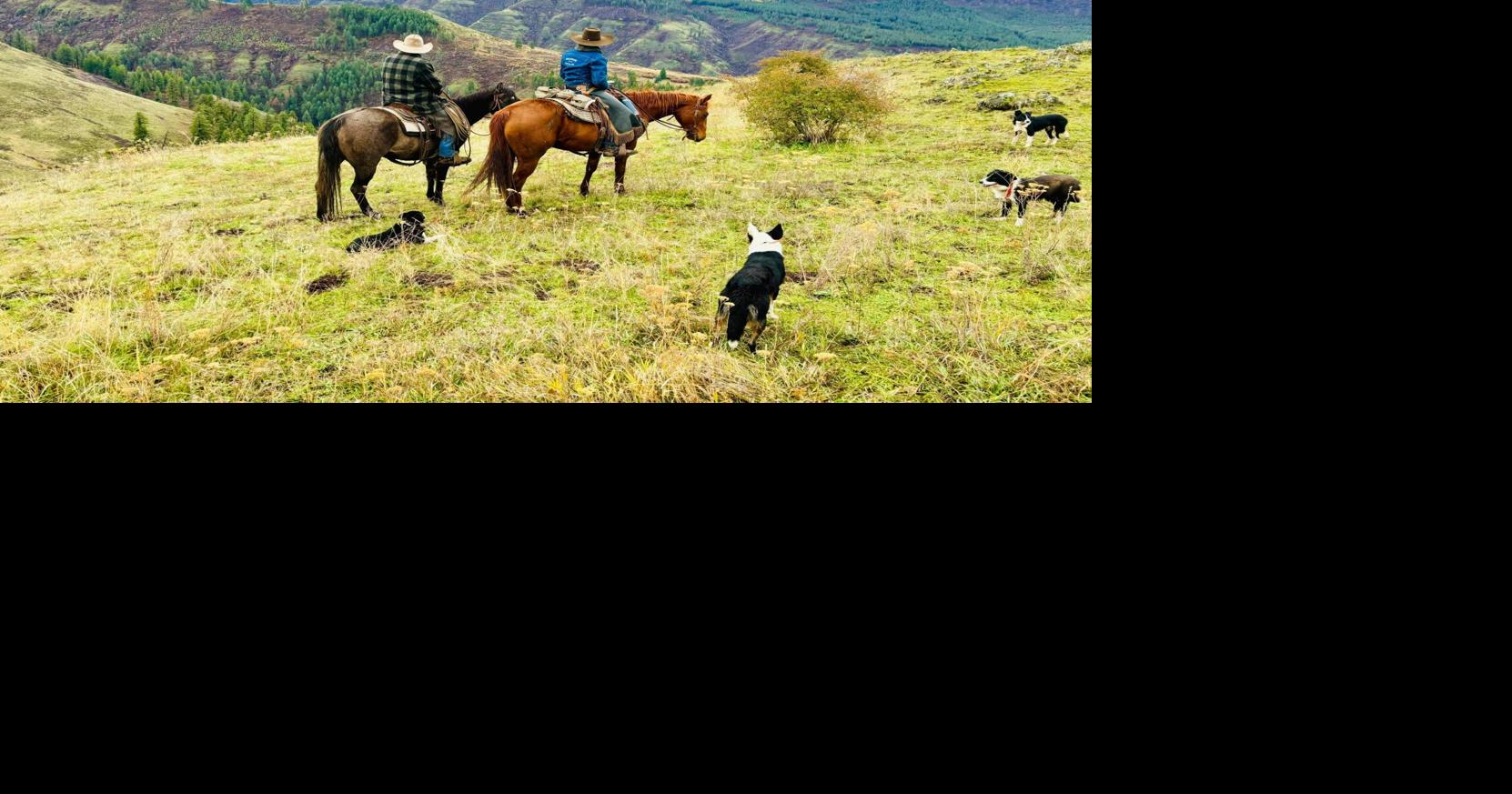 North Central Idaho Farm & Ranch Spring 2024 | Farm-and-ranch ...