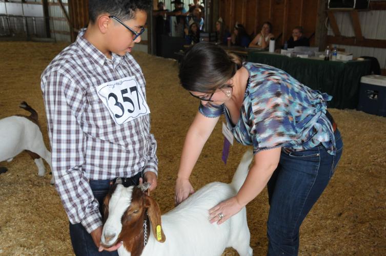 Work And Play At Idaho County Fair 2021 News