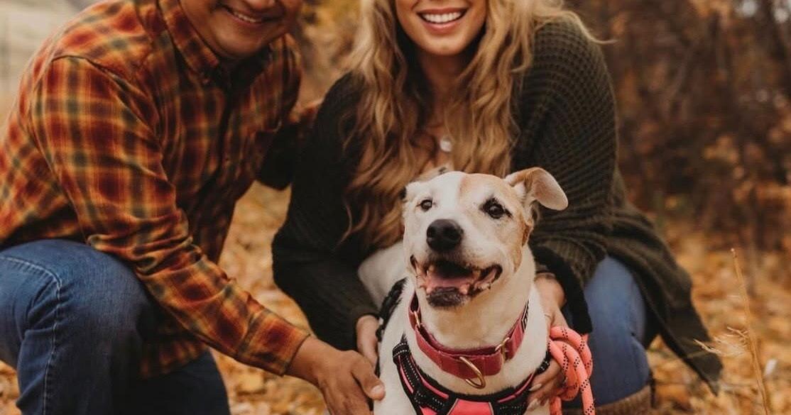 Animal shelter in Kamiah; Man’s best friend has a friend