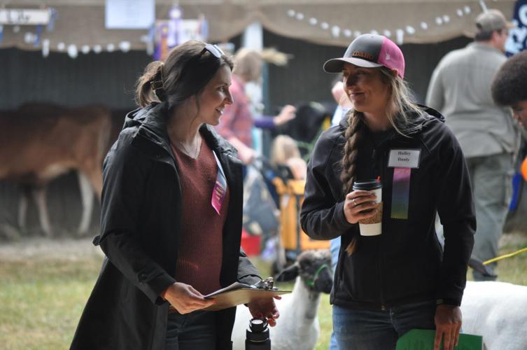 Work And Play At Idaho County Fair 2021 News