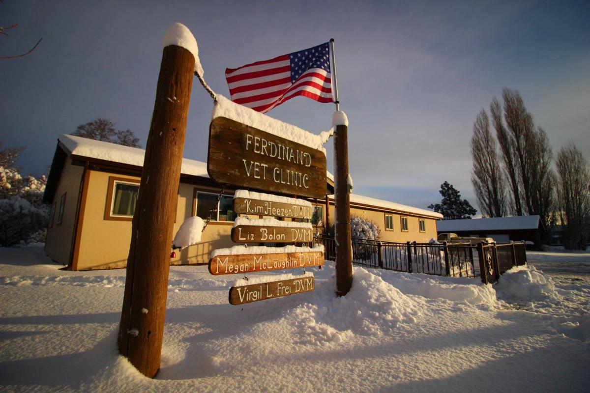 Ferdinand Veterinary Clinic small town, big services Special