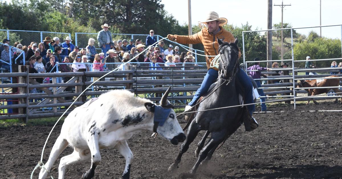 Two Bar V Livestock Ranch Rodeo, Cottonwood, Sept 23 | Sports ...