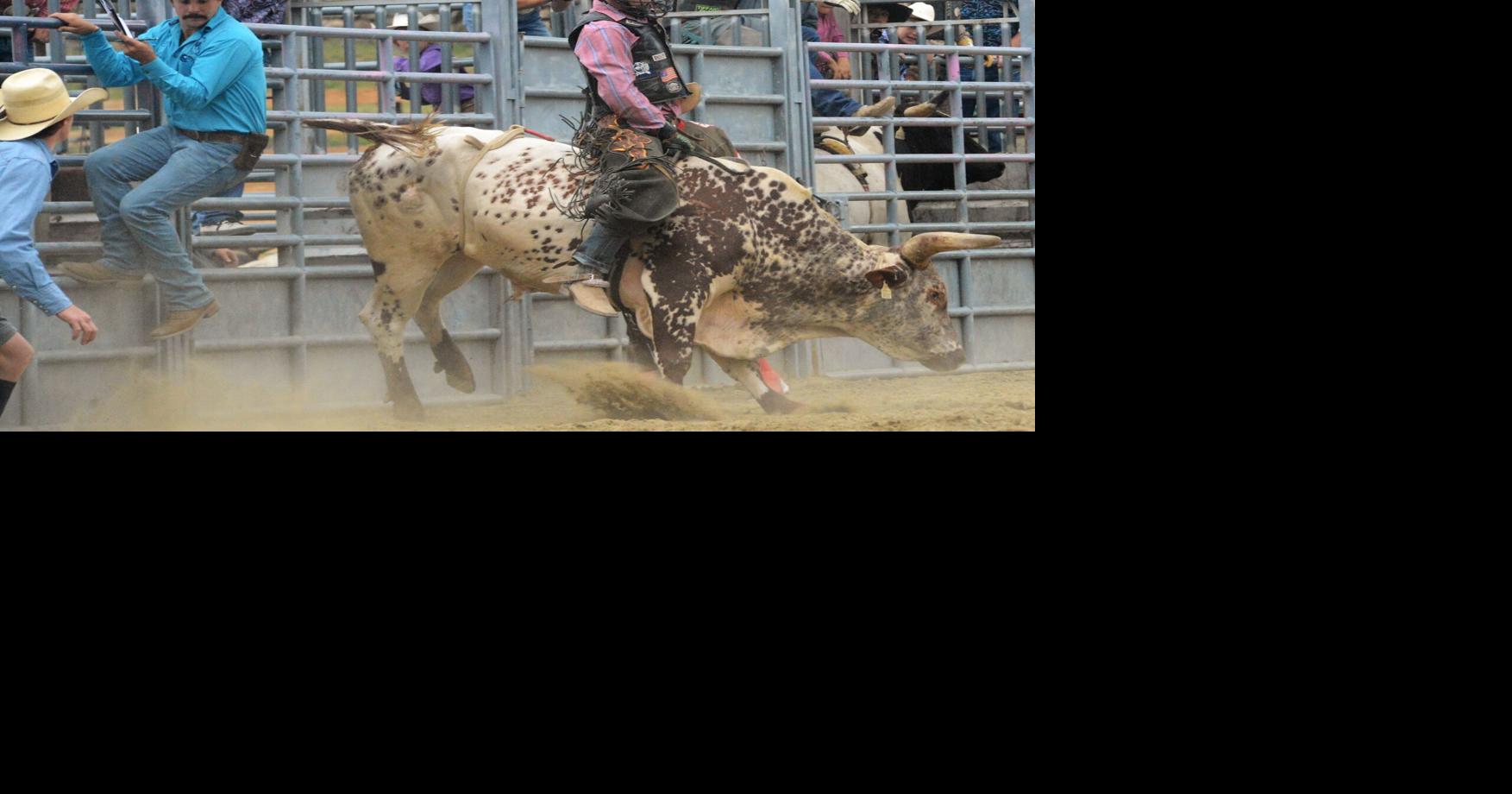 Mini Bull, Big Ride | Sports | idahocountyfreepress.com