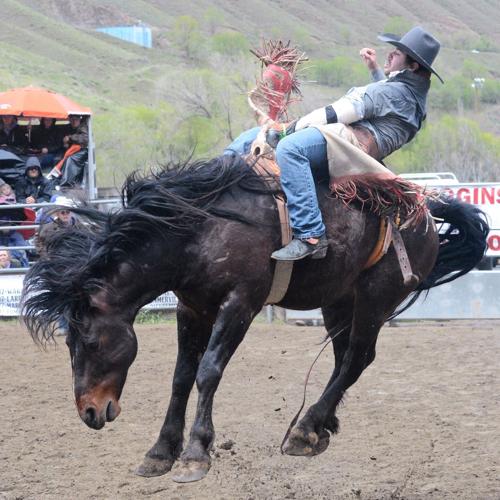 Larson posts highest score at Riggins Rodeo Sports