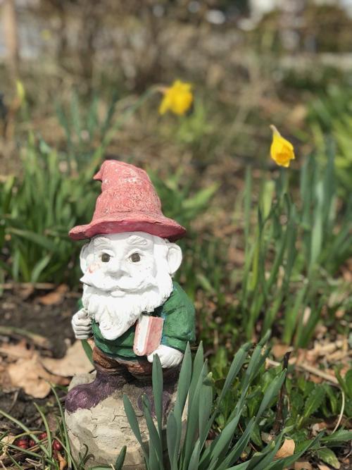 Library gnome