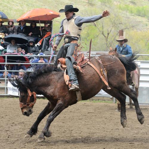 Larson posts highest score at Riggins Rodeo Sports