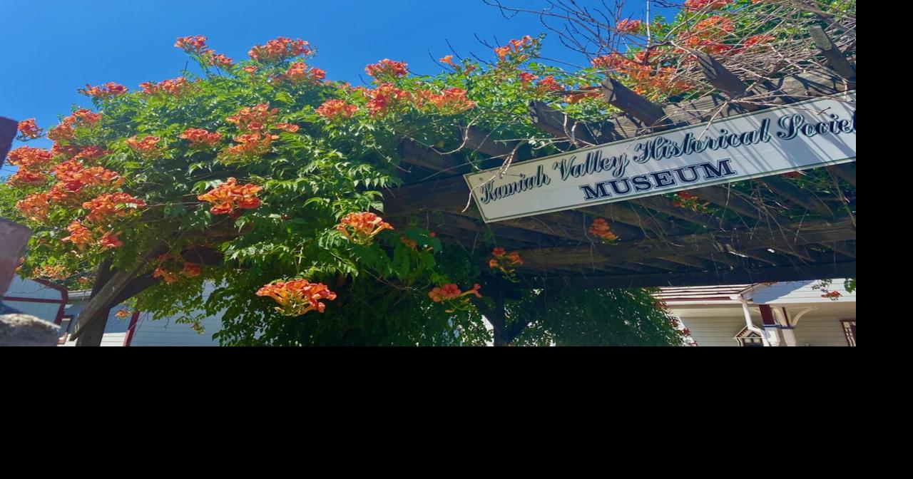 Idaho County Fair’s ‘Two Minute Talent Show’ entries open Business