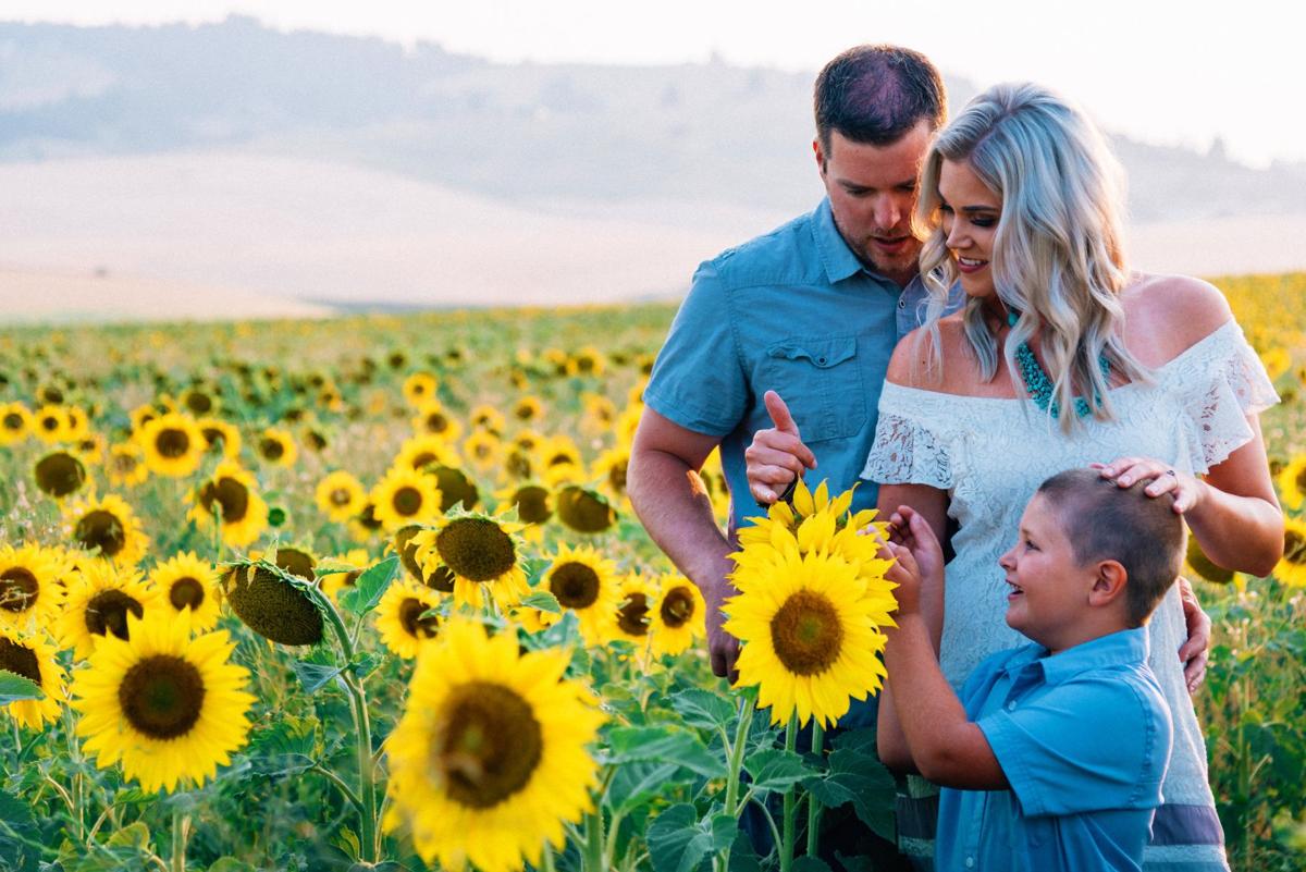 Field Of Dreams Sunflower Field Makes For Picturesque Crop On The Camas Prairie Farm And Ranch Idahocountyfreepress Com