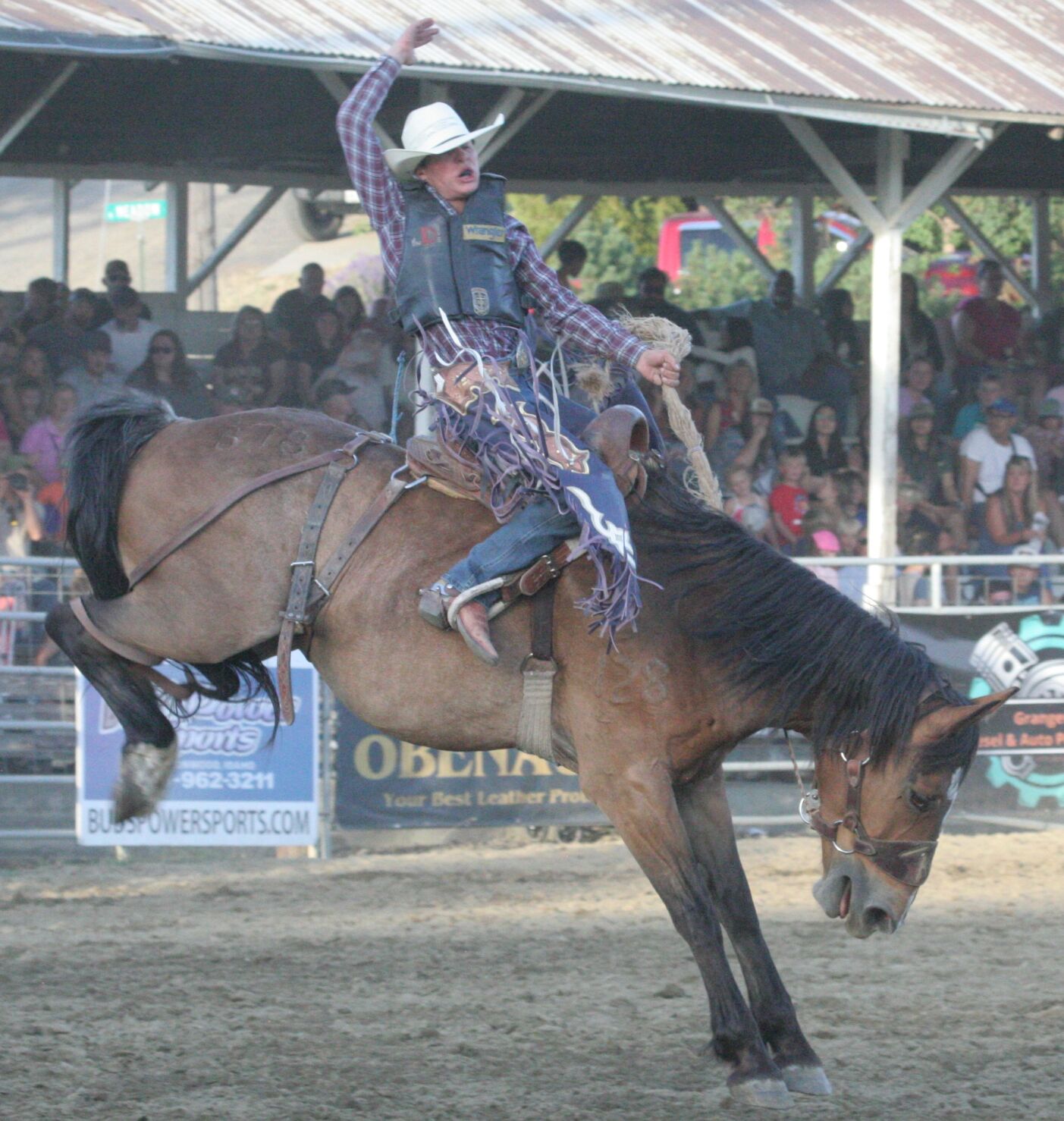 2025 Border Days Rodeo results | Sports | idahocountyfreepress.com