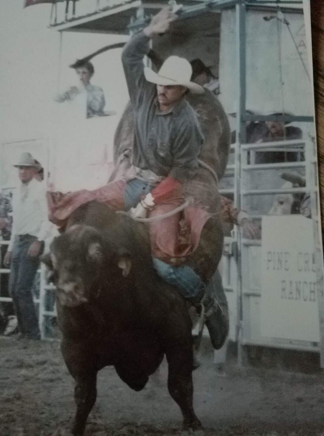 Wilsons Carry On Family Cattle Tradition | Farm-and-ranch ...