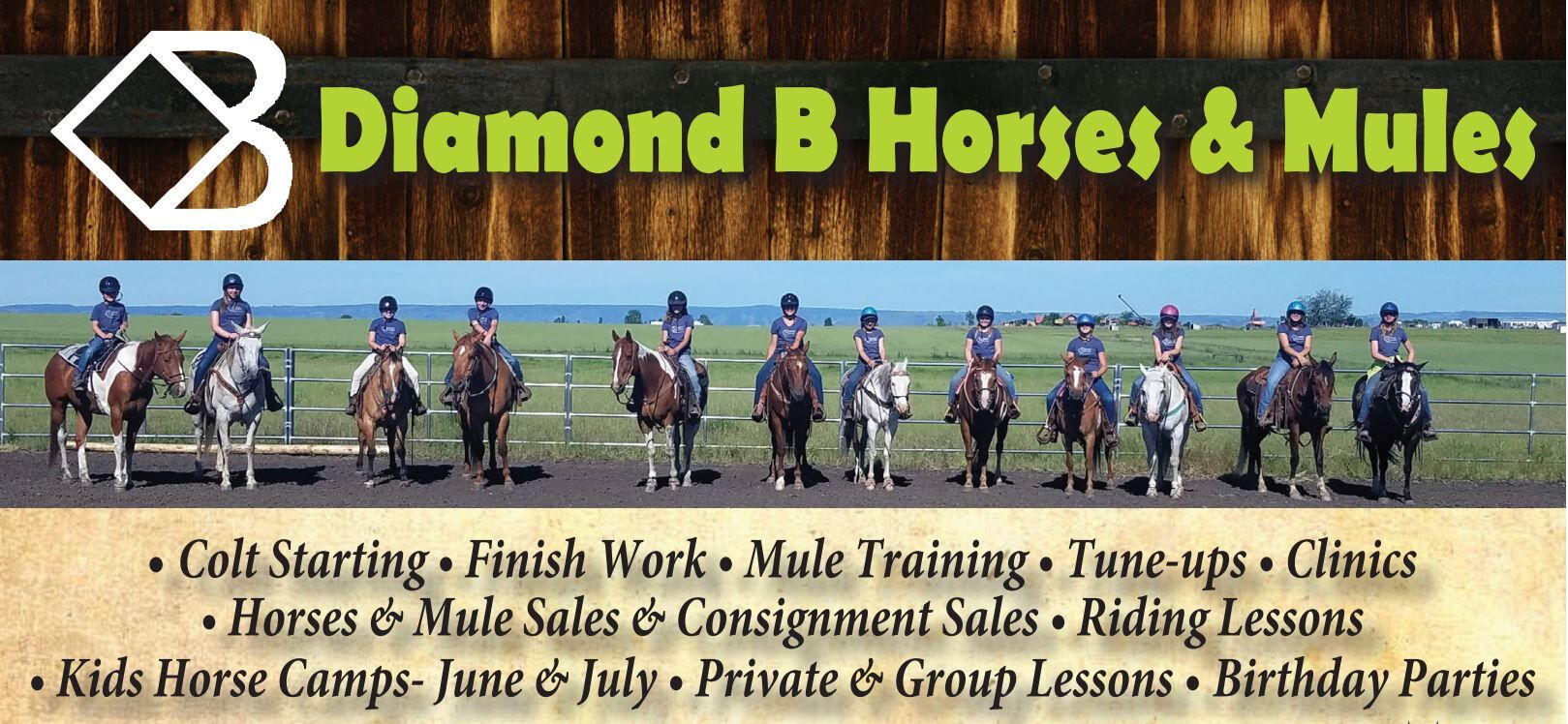 Diamond B Horses & Mules | | Idahocountyfreepress.com