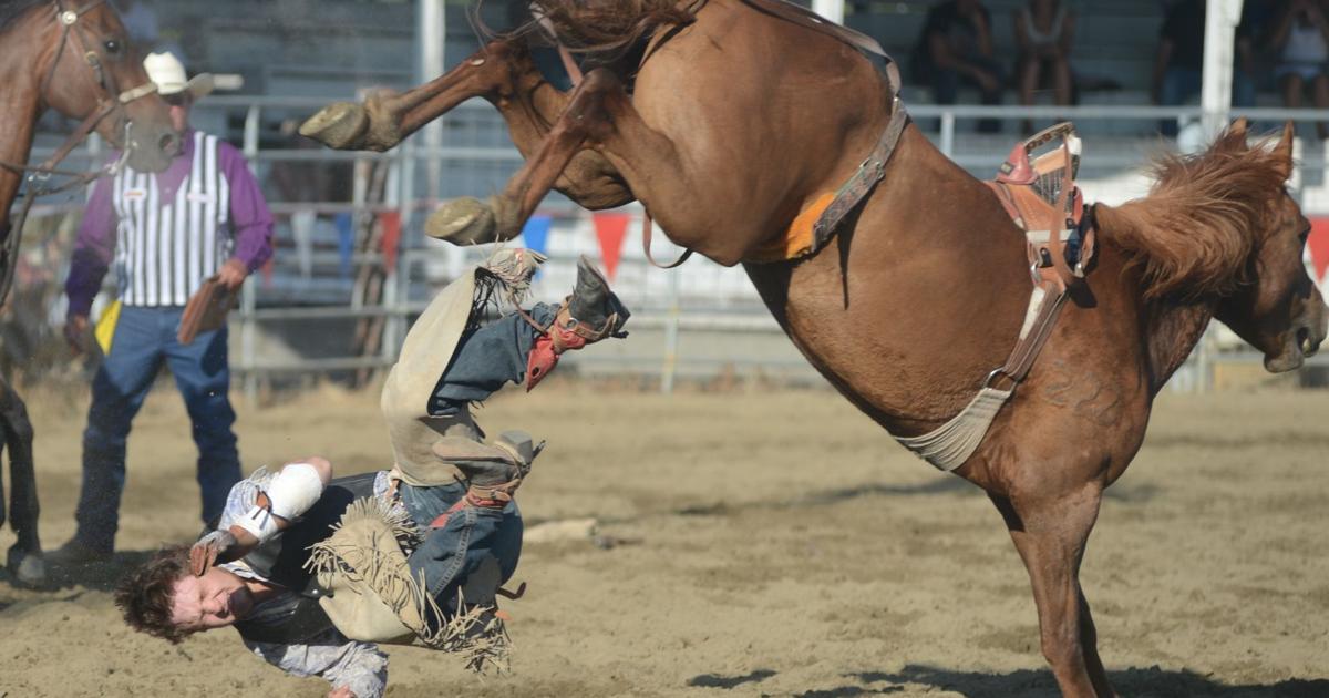 Border Days Rodeo Border Days 2019: 108th annual rodeo starts Thursday | News ...