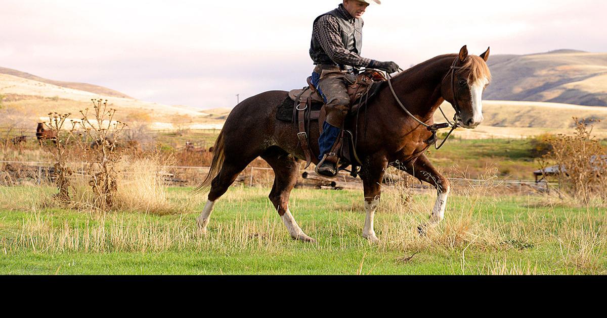 Tim McNamee Riding home on a loose rein Farmandranch
